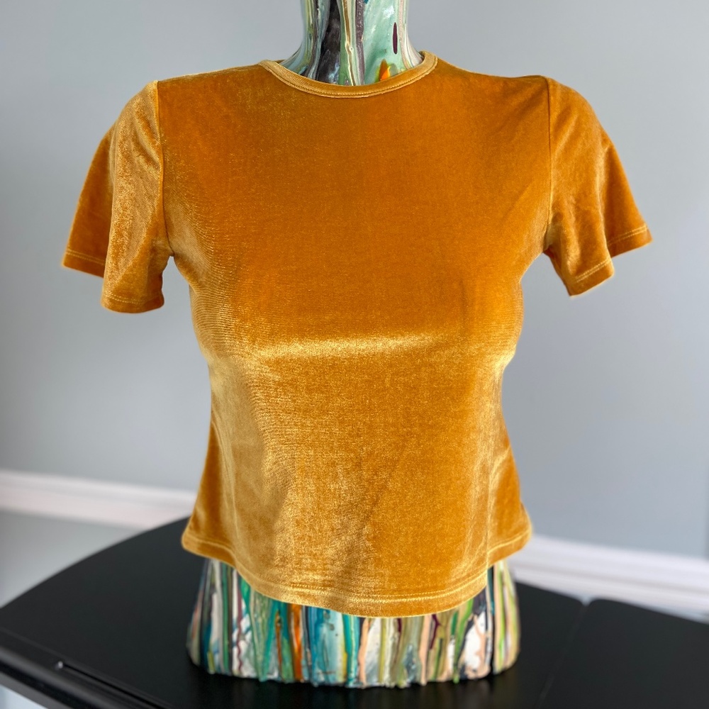 Topshop Velvet Short Sleeve- Size 6
